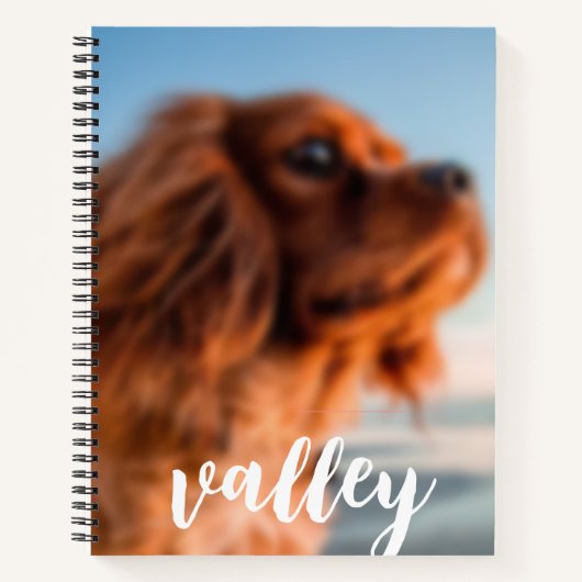 Spiraal Notebook Notitieboek (Voorkant)