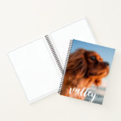 Spiraal Notebook Notitieboek (Binnen)