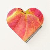 Spiraal Notebook Notitieboek (Achterkant)