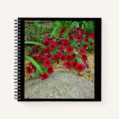 Spiraal Notitieboek (Voorkant)