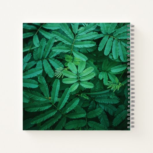 Spiraal Notitieboek (Achterkant)