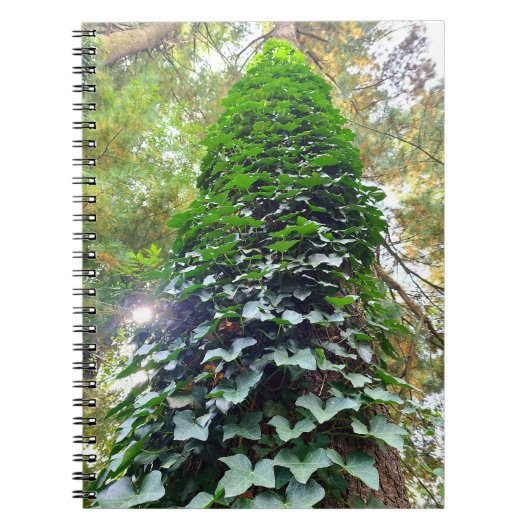 Spiraal Notitieboek (Voorkant)