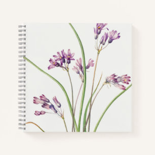 Spiraal Notitieboek: Botanisch kunstontwerp (hyaci Notitieboek