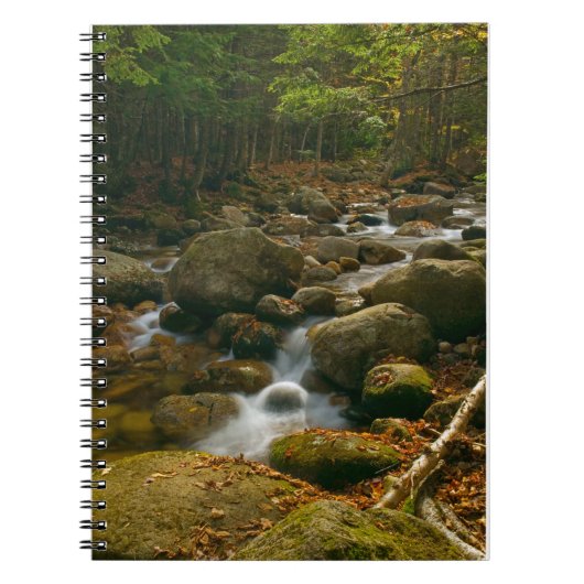 Spiraal Notitieboek met draperende stroom (Voorkant)