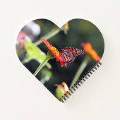 Spiraal Notitieboek voor vlinderbloemigen (Achterkant)