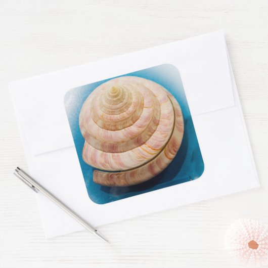Spiraal Seashell Vierkante Sticker (Envelop)