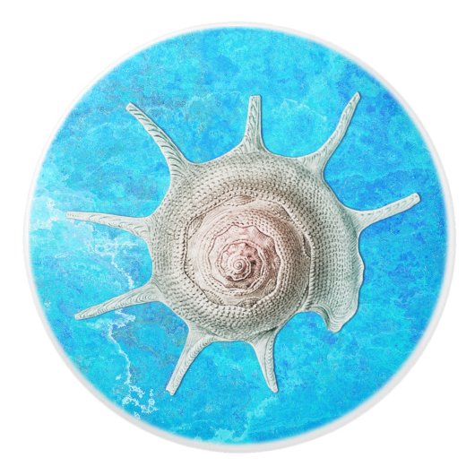 Spiraal Shell "Beach Life" Keramische Knop (Voorkant)
