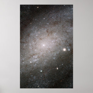 Spiraal sterrenstelsel NGC 300. Poster