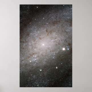 Spiraal sterrenstelsel NGC 300. Poster