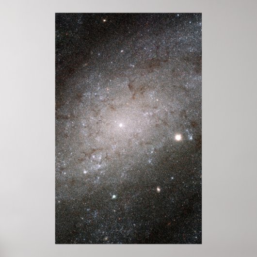 Spiraal sterrenstelsel NGC 300. Poster (Voorkant)