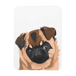 spiraalmagneet magneet