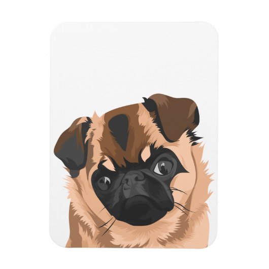 spiraalmagneet magneet (Verticaal)