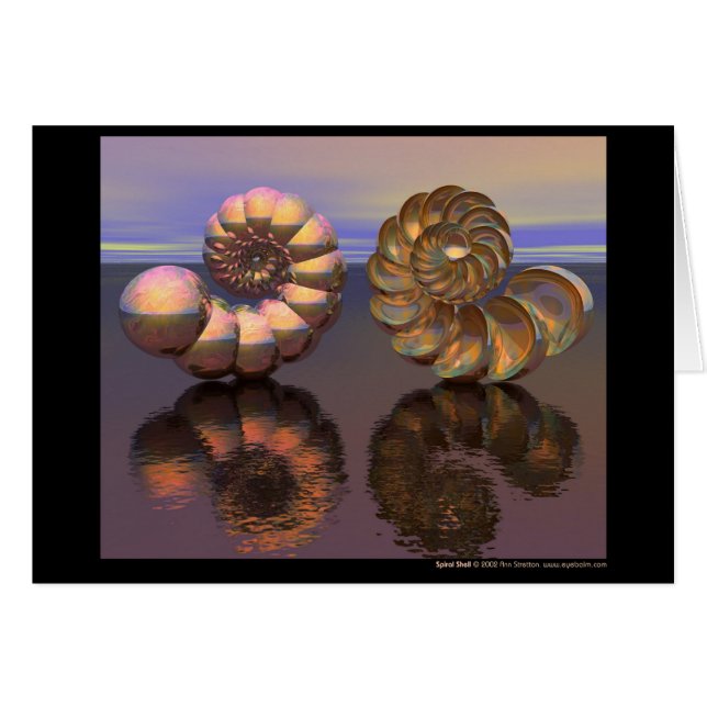 spiraalschaal (Voorkant Horizontaal)