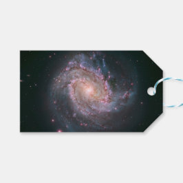 Spiraalstelsel M83 (NASA) Cadeaulabel