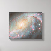 Spiraalstelsel NGC 1672 Canvas Afdruk (Voorkant)