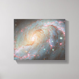 Spiraalstelsel NGC 1672 Canvas Afdruk