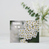 Spiraea Bedankt Briefkaart (Staand voorkant)