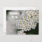 Spiraea Bedankt Briefkaart (Voorkant / Achterkant)