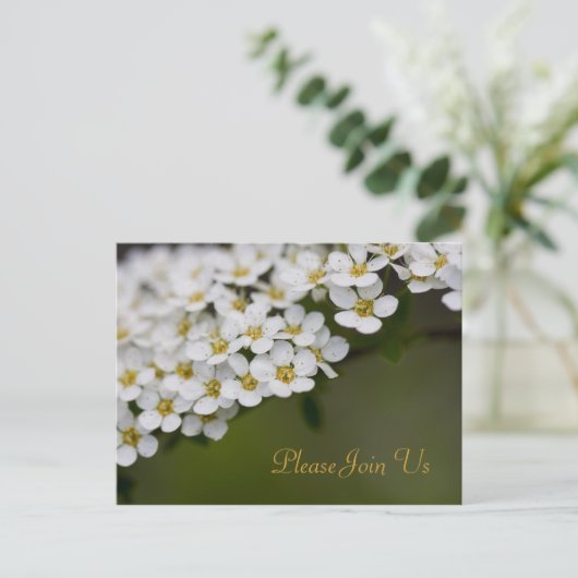 Spiraea, doe mee met ons Briefkaart (Staand voorkant)