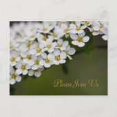 Spiraea, doe mee met ons Briefkaart (Voorkant)