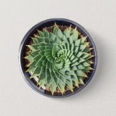 Spiral Aloe Button (Voorkant)