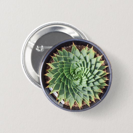 Spiral Aloe Button (Voorkant /achterkant)