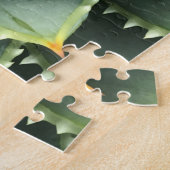 Spiral Aloe Fibonacci Legpuzzel (Zijkant)