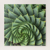 Spiral Aloe Fibonacci Legpuzzel (Verticaal)