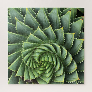 Spiral Aloe Fibonacci Legpuzzel