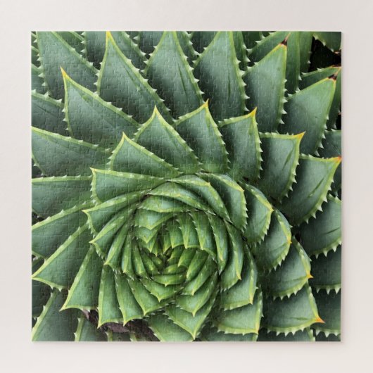 Spiral Aloe Fibonacci Legpuzzel (Verticaal)