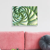 Spiral Aloe foto gemaakt door Debra Lee Baldwin Canvas Afdruk (Insitu (Woonkamer))