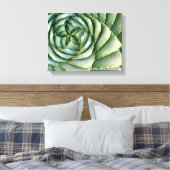 Spiral Aloe foto gemaakt door Debra Lee Baldwin Canvas Afdruk (Insitu (Slaapkamer))
