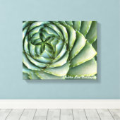 Spiral Aloe foto gemaakt door Debra Lee Baldwin Canvas Afdruk (Insitu (Houten vloer))