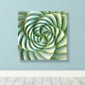 Spiral Aloe foto gemaakt door Debra Lee Baldwin Canvas Afdruk (Insitu (Houten vloer))