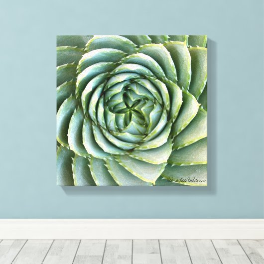 Spiral Aloe foto gemaakt door Debra Lee Baldwin Canvas Afdruk (Insitu (Houten vloer))