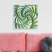 Spiral Aloe foto gemaakt door Debra Lee Baldwin Canvas Afdruk (Insitu (Woonkamer))