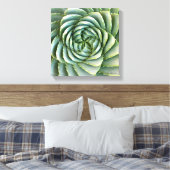 Spiral Aloe foto gemaakt door Debra Lee Baldwin Canvas Afdruk (Insitu (Slaapkamer))