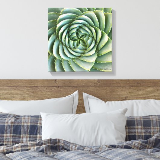 Spiral Aloe foto gemaakt door Debra Lee Baldwin Canvas Afdruk (Insitu (Slaapkamer))