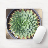Spiral Aloe Mousepad Muismat (Met muis)
