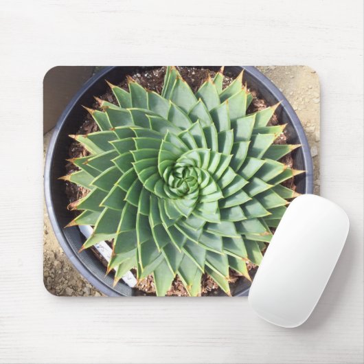 Spiral Aloe Mousepad Muismat (Met muis)