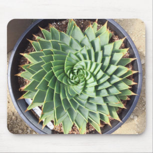Spiral Aloe Mousepad Muismat