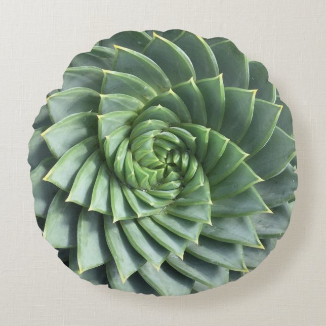 Spiral Aloe Polyphylla Succulent Rond Kussen (Voorkant)