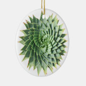 Spiral Aloe Succulent Ornament (Rechts)