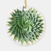 Spiral Aloe Succulent Ornament (Voorkant)