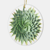 Spiral Aloe Succulent Ornament (Links)