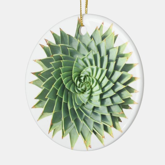 Spiral Aloe Succulent Ornament (Links)