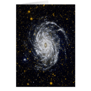 Spiral Galaxy
