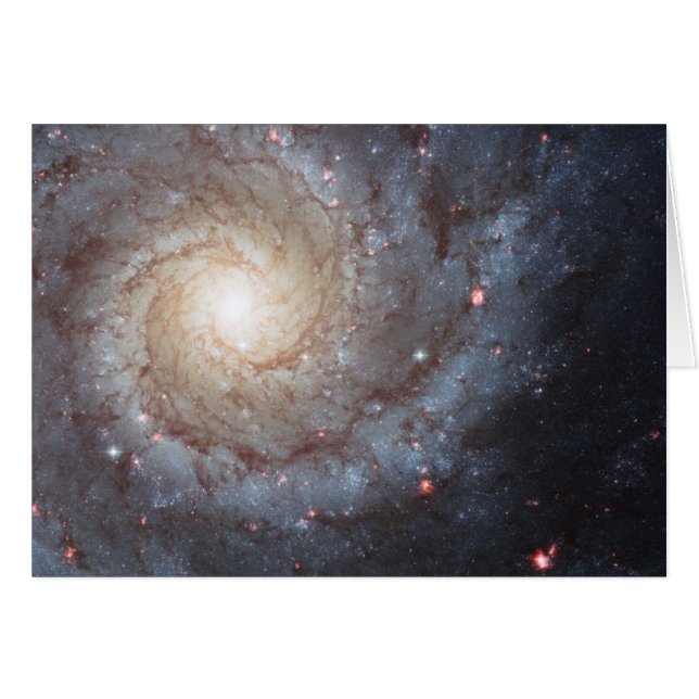 Spiral Galaxy M74 (Voorkant Horizontaal)