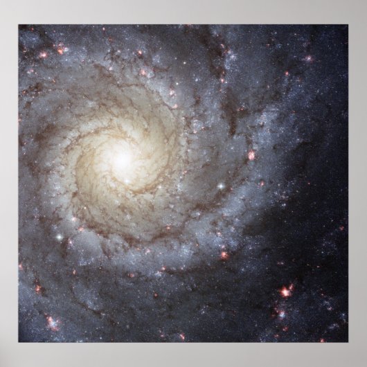 Spiral Galaxy M74 Poster (Voorkant)