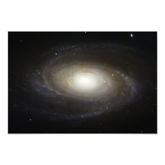 Spiral Galaxy M81 Foto Afdruk (Voorkant)